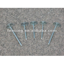 Common wire nails(10 years' factory)